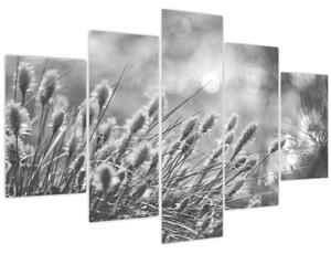 Slika - Bež mekana trava N⁰1 (150x105 cm)