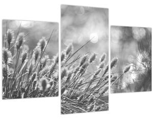 Slika - Bež mekana trava N⁰1 (90x60 cm)