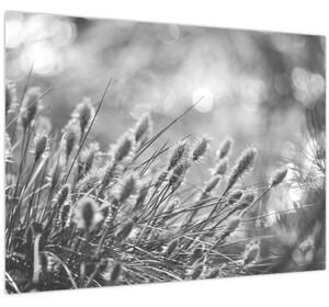 Slika - Bež mekana trava N⁰1 (70x50 cm)