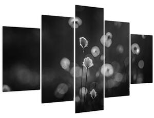Slika - Cottongras na livadi (150x105 cm)