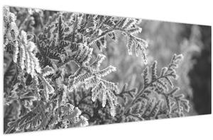 Slika - Šuma smreke (120x50 cm)