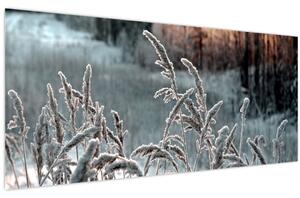 Slika - Smrznuta livada (120x50 cm)