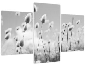 Slika - Boho trava od zečjeg repa (90x60 cm)