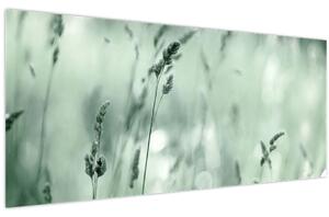 Slika - Zelena livada (120x50 cm)