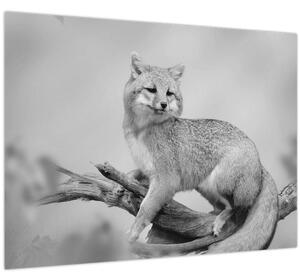 Slika - Siva lisica (70x50 cm)