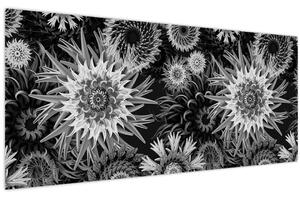 Slika - Crni i bijeli čičak (120x50 cm)