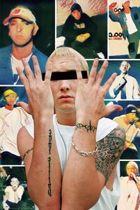 Poster Rap Dog