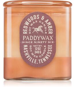 Paddywax Vista Redwoods & Amber mirisna svijeća 340 g