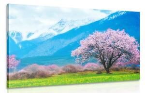 Slika čarobno staklo usred planina