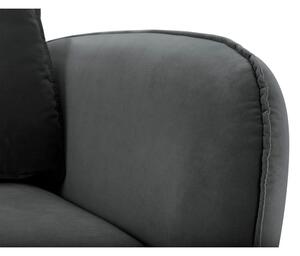 Tamnosiva baršunasta fotelja s crnim nogama Kooko Home Lento
