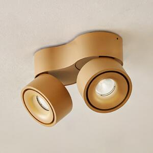 Arcchio LED stropni reflektor Rotari, smeđi, 2 žarulje, 8,9 W, prigušiva, Smeđa / hrđa, Područje hodnika, Aluminij