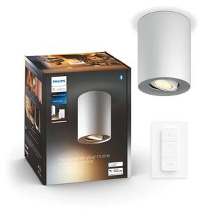 Pillar Hue STROPNA SVJETILJKA BIJELA 1x5W 2200-6500K + DALJINSKI UPRAVLJAČ 8719514338487