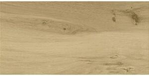 Cersanit Podna pločica Ashville (D x Š x D: 29,7 cm x 59,8 mm x 8 mm, Smeđe, Mat)