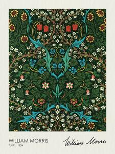 Reprodukcija Tulip Blackthorn (1834), William Morris