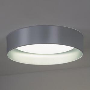 Duolla - LED Stropna svjetiljka ROLLER LED/24W/230V srebrna