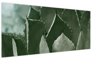 Slika - Zelena agava (120x50 cm)