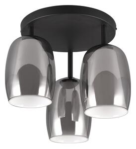 Crna/u srebrnoj boji stropna svjetiljka sa staklenim sjenilom ø 14 cm Barret – Trio Select