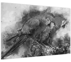 Slika - Vodene boje papige (90x60 cm)