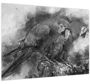 Slika - Vodene boje papige (70x50 cm)
