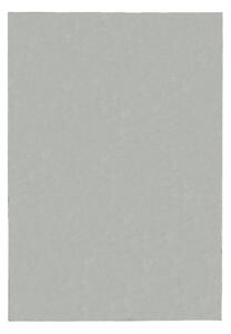 Svijetlo sivi tepih 140x200 cm – Flair Rugs
