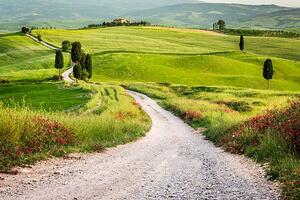 Fotografija Dirt road and green field in Tuscany, Shaiith