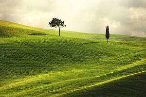 Fotografija Landscape in Tuscany, Peter Zelei Images