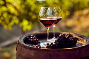 Fotografija Two glasses of red wine in the vineyard, Rostislav_Sedlacek