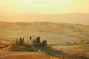 Fotografija Farm in Tuscany, mammuth