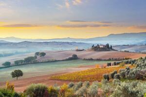 Fotografija Landscape in Tuscany, Italy, mammuth