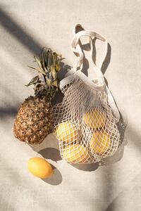 Ilustracija Summer Fruits, Henrike Schenk