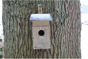 Drvena kućica za čvorke – Esschert Design