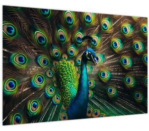 Slika – Paun (90x60 cm)