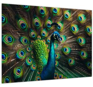 Slika – Paun (70x50 cm)