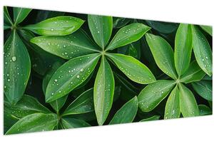 Slika - Listovi s kapima rose (120x50 cm)