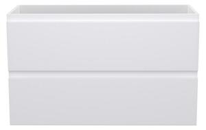 Camargue Espacio Kupaonski ormarić za ugradbeni umivaonik (100 x 40 x 60 cm, 2 ladice, Gama bijela mat)