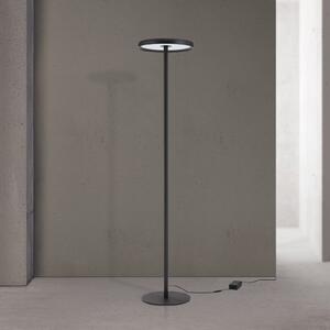 ORION KANT LED podna lampa, crna, visina 185 cm, CCT, prigušivanje gore/dolje, prigušiva, Crno, Dnevni boravak/blagovaonica, Stanite zračeći prema dolje