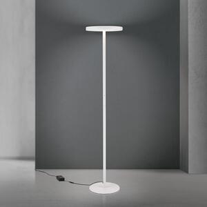 ORION KANT LED podna lampa, bijela, visina 185 cm, CCT, prigušivač, gore/dolje, prigušiva, Bijela, Dnevni boravak/blagovaonica, Stanite zračeći prema dolje