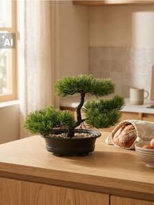 Sinsay - Ukrasna biljka – bonsai stablo
