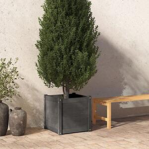VidaXL Vrtna sadilica siva 50 x 50 x 50 cm od masivne borovine