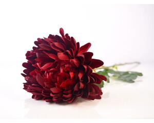 Rezano cvijeće KRIZANTEMA 68 cm