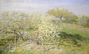 Reprodukcija Spring – Fruit Trees in Bloom (1873), Claude Monet