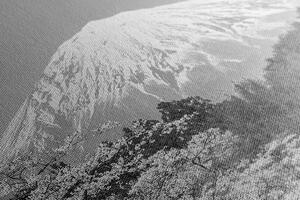Slika planina Fuji u crno-bijelom dizajnu