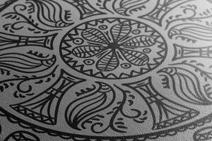 Slika Mandala s apstraktnim prirodnim uzorkom u crno-bijelom dizajnu