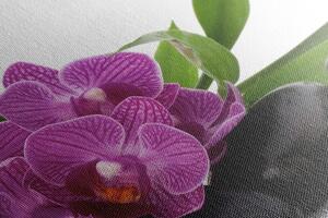 Slika ljubičasta orhideja u Zen mrtvoj prirodi