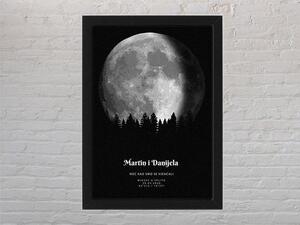 Mjesečeve mijene - Forest Moonlight