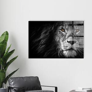 Staklena slika 70x50 cm Lion - Wallity
