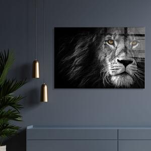 Staklena slika 70x50 cm Lion - Wallity