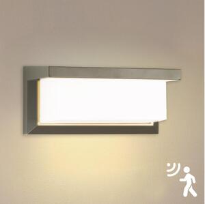 Brilagi-LED Vanjska zidna svjetiljka sa senzorom BRICKY LED/12W/230V siva IP54