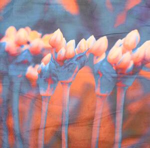Ukrasna navlaka za jastuk FASCINATA 40x40 cm, narančasto-plava