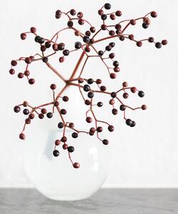 Fotografija Vase_berries, Studio Collection